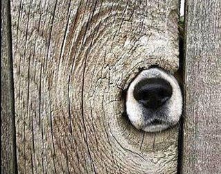 Some days are going to be like this!