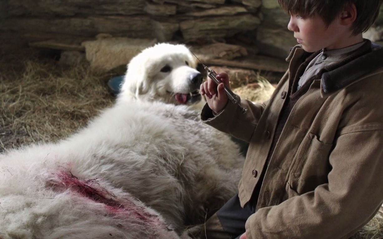 Il dit à Sébastien qu'il doit faire une piqure à la chienne