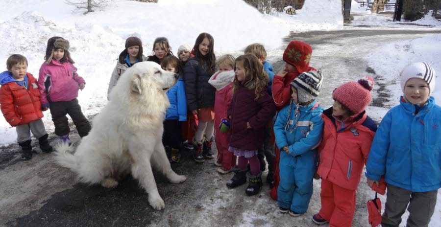 Des enfants de l'école des Alberts impressionnés par l’une des stars du film