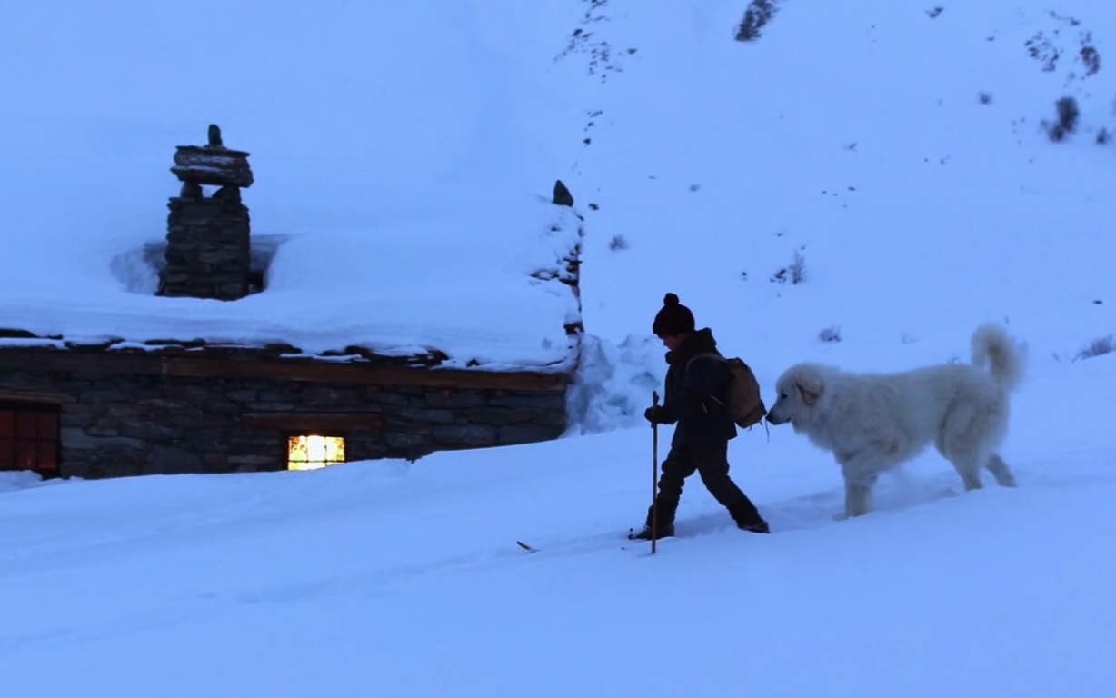 Il passe devant le chalet