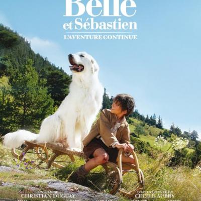 Belle et Sébastien, l'aventure continue (film)