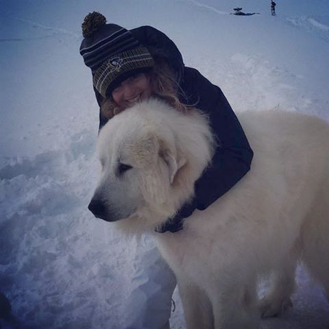 Love this dog! 