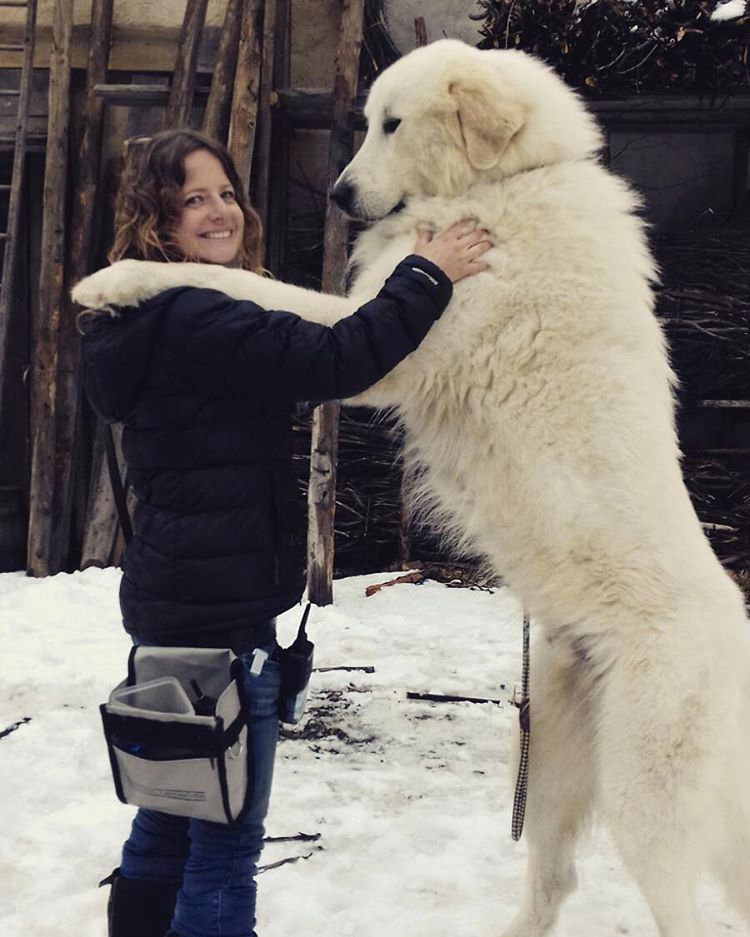 Nothing better than a hug from Fort 